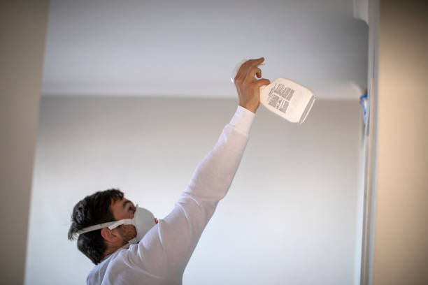 Best Mold Testing and Inspection Services in Manhattan, IL