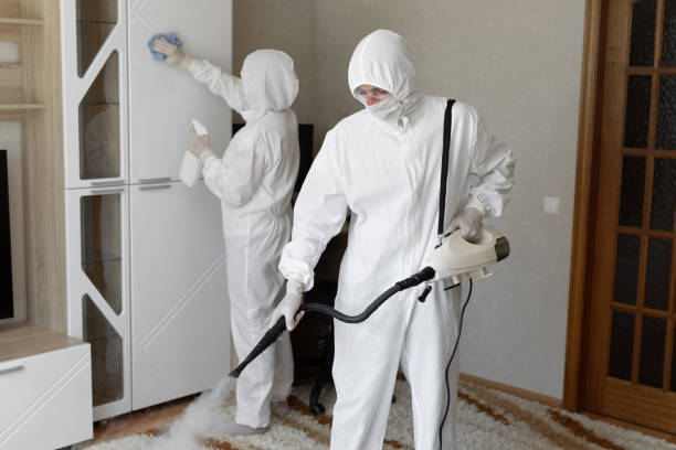 Best Industrial Mold Remediation in Manhattan, IL
